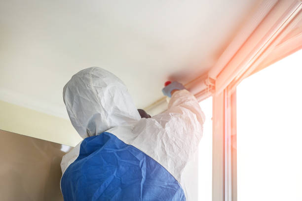 Mold Remediation for Rental Properties in Weston, NJ