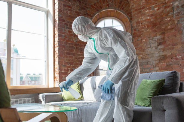 Best Environmental Consulting for Mold Prevention  in Weston, NJ