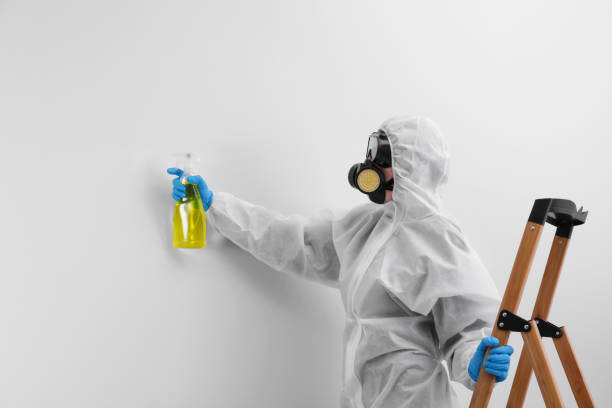 Best Comprehensive Air Testing for Mold Contaminants  in Weston, NJ